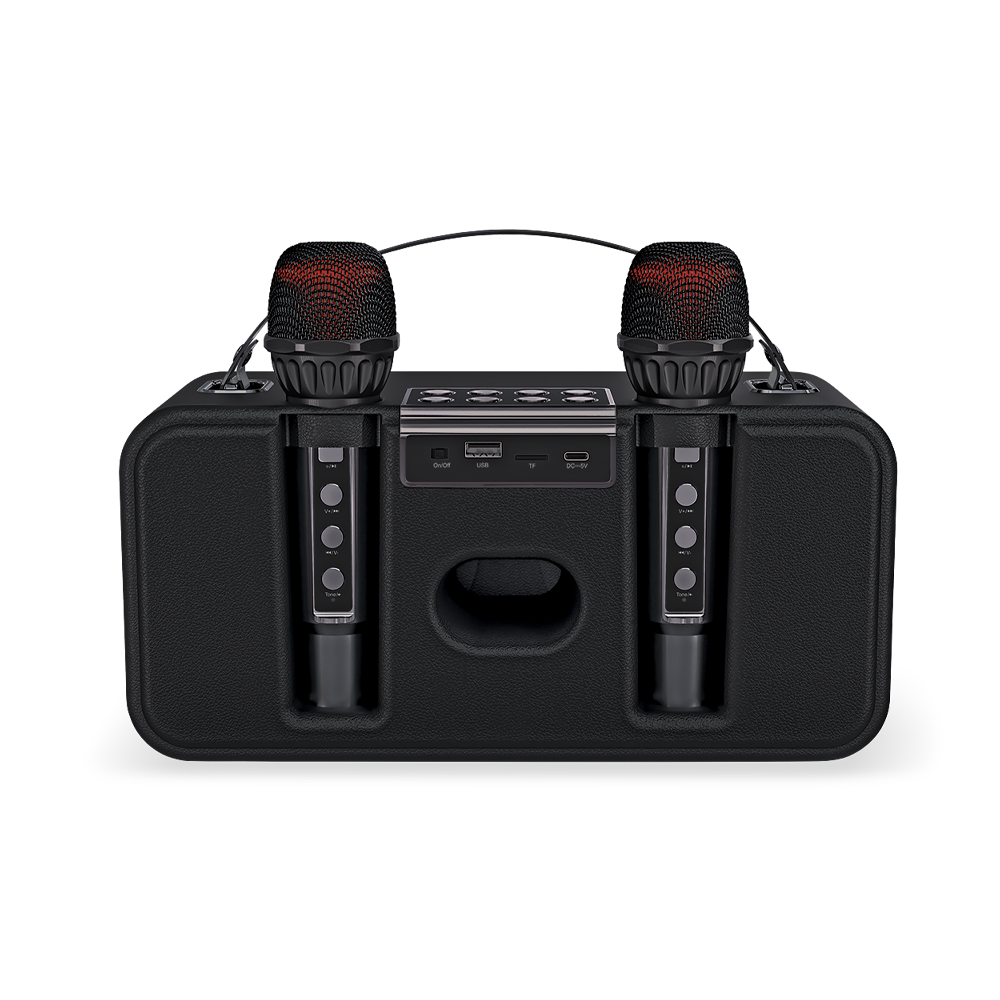 DOUBLE Micro Main UHF PRO sans fil LCD DJ PRO PARTY KARAOKE 2 X100